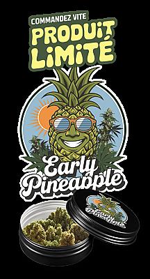 Early Pineapple